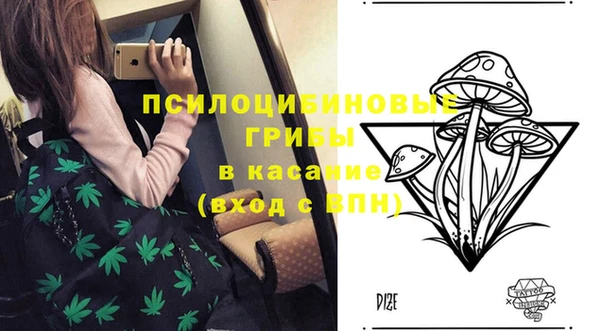 СК Мегион